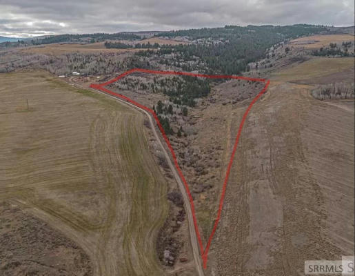 60.8 AC SWAN VALLEY HWY, RIRIE, ID 83443, photo 5 of 43