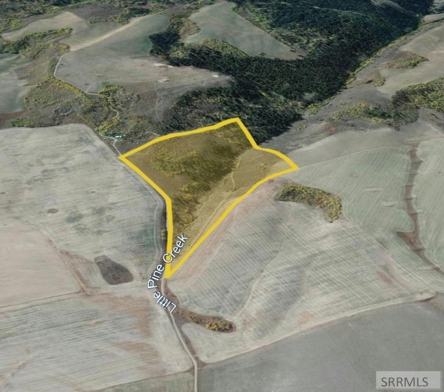 60.8 AC SWAN VALLEY HWY, RIRIE, ID 83443, photo 1 of 43